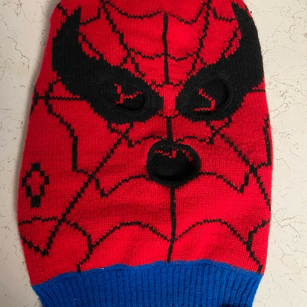 Red and Black Spider Hero Kids Costume Mask